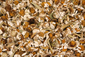 Dried-Flowers background