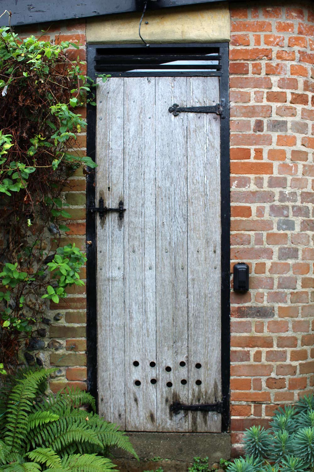 Narrow Door Narrow Door