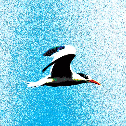 Alterative-Tern