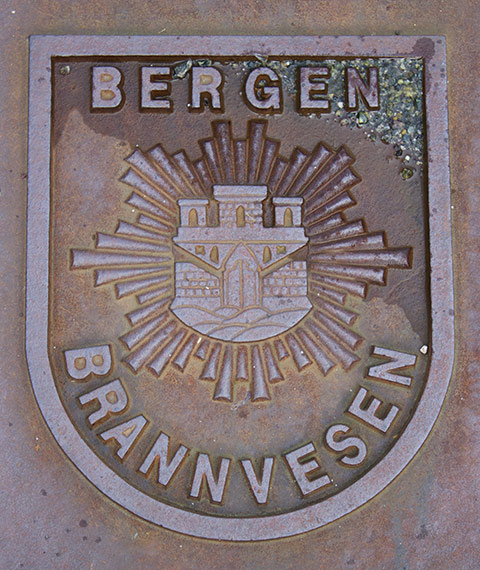 Bergen-Drain-Cover