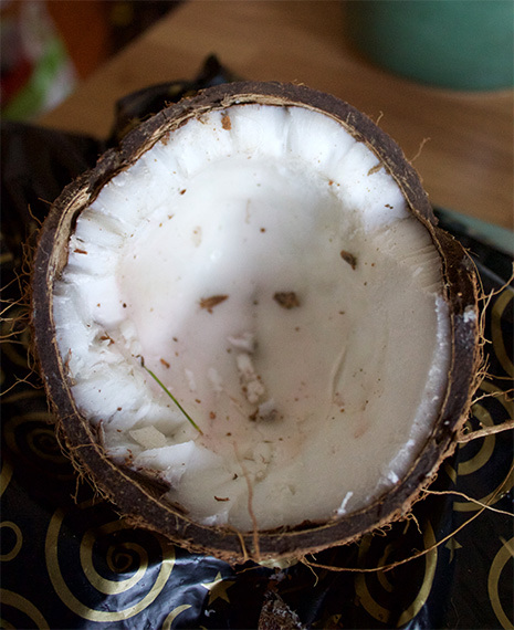 Coconut-face