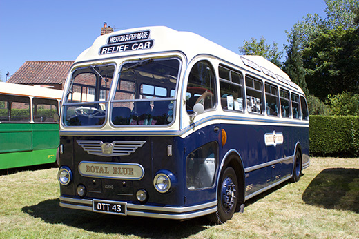 Royal-Blue