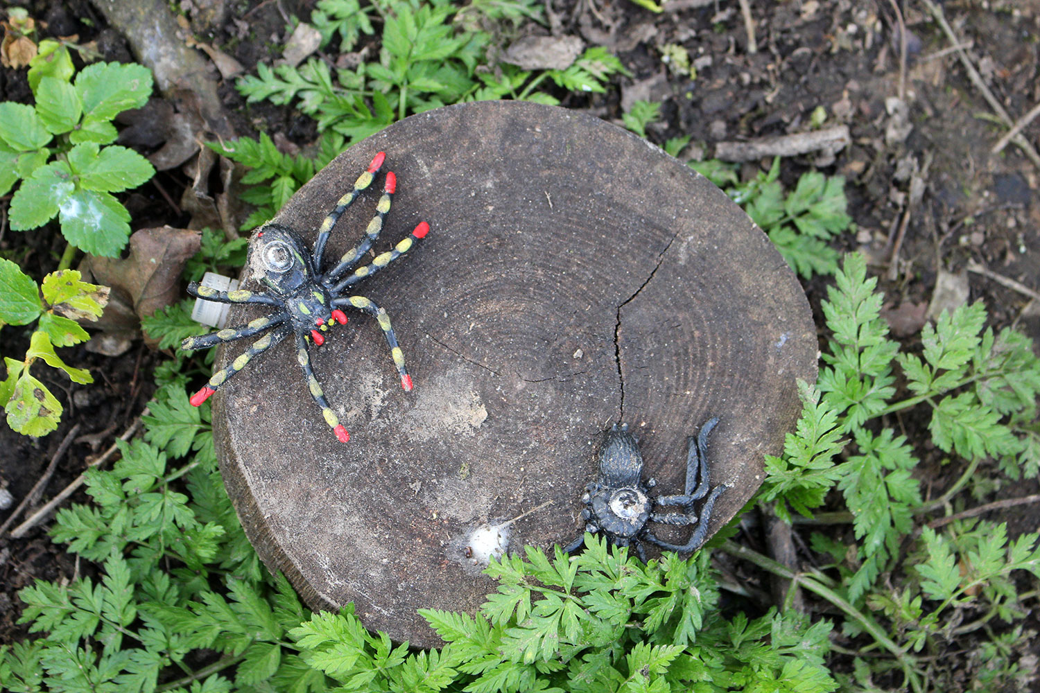 SPIDERS