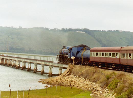 Train