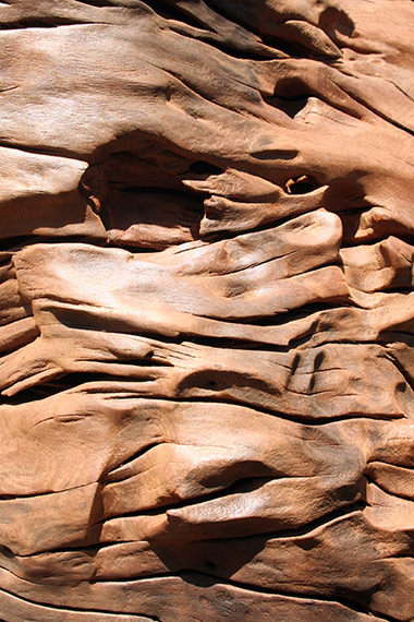 Wood-Face