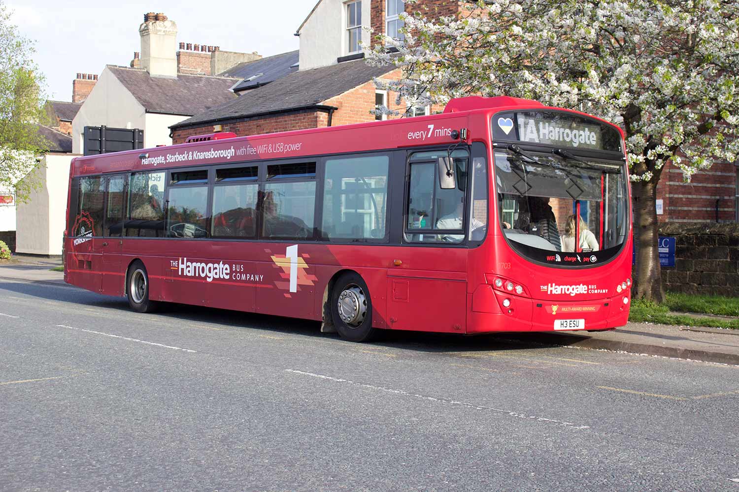 bus