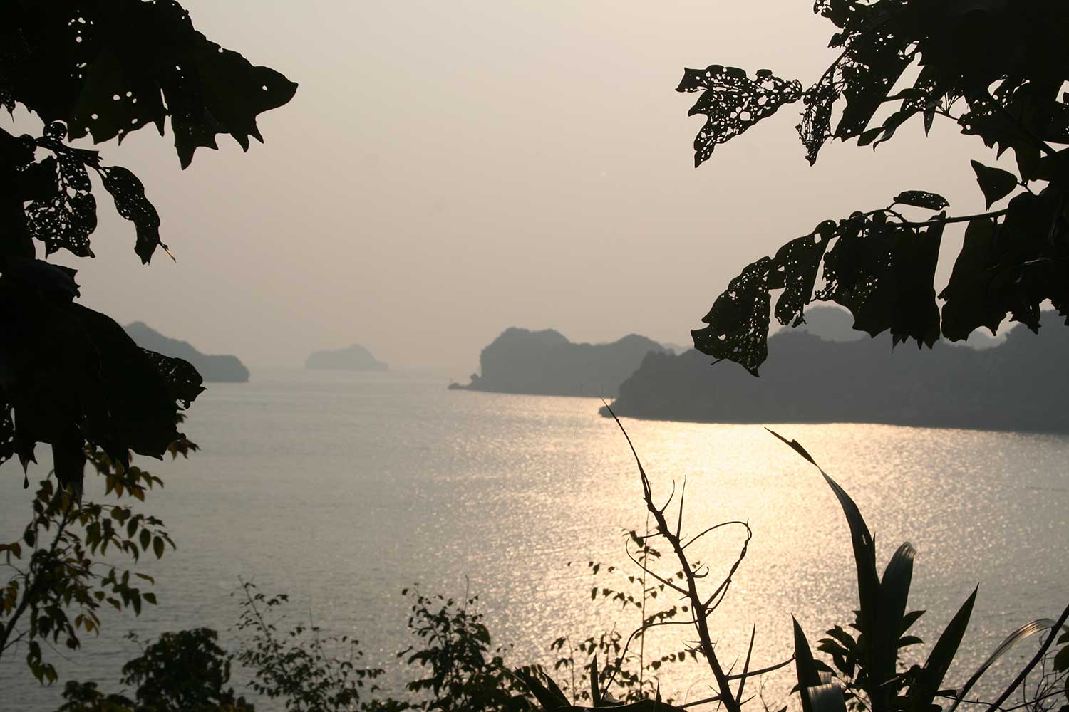 view